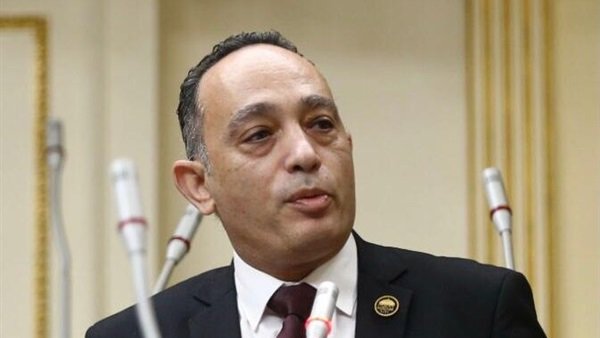 النائب  الدكتور/ فريدي البياضي عضوٍ اللجنة العامة للبرلمان