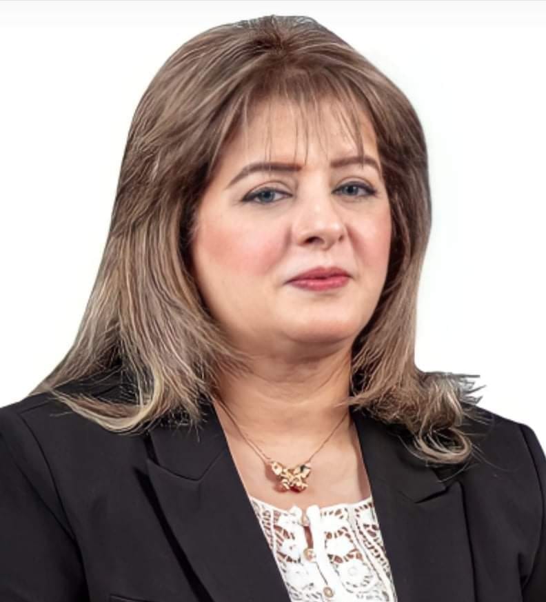 النائبة هناء أنيس عضو مجلس النواب