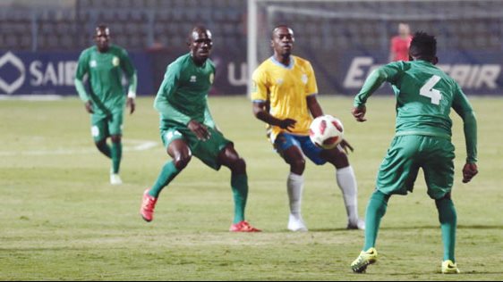 القطن الكاميروني