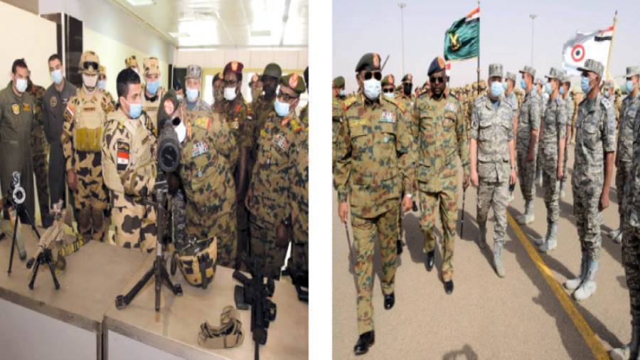 نسور النيل 2 