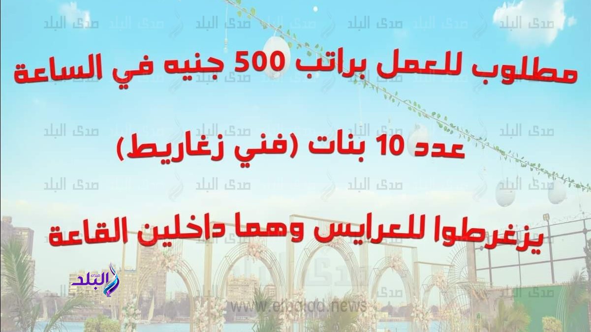 مطلوب للعمل "فني زغاريط"