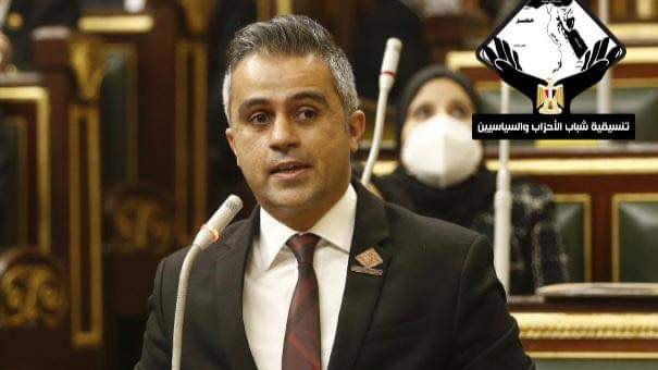 النائب أحمد فتحي 