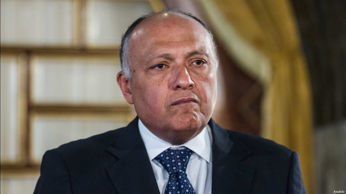 سامح شكري