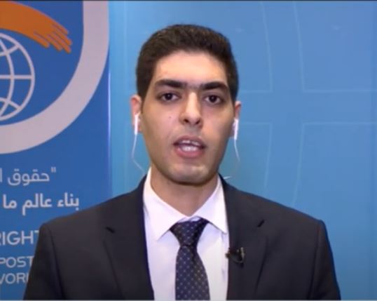 محمد هيكل