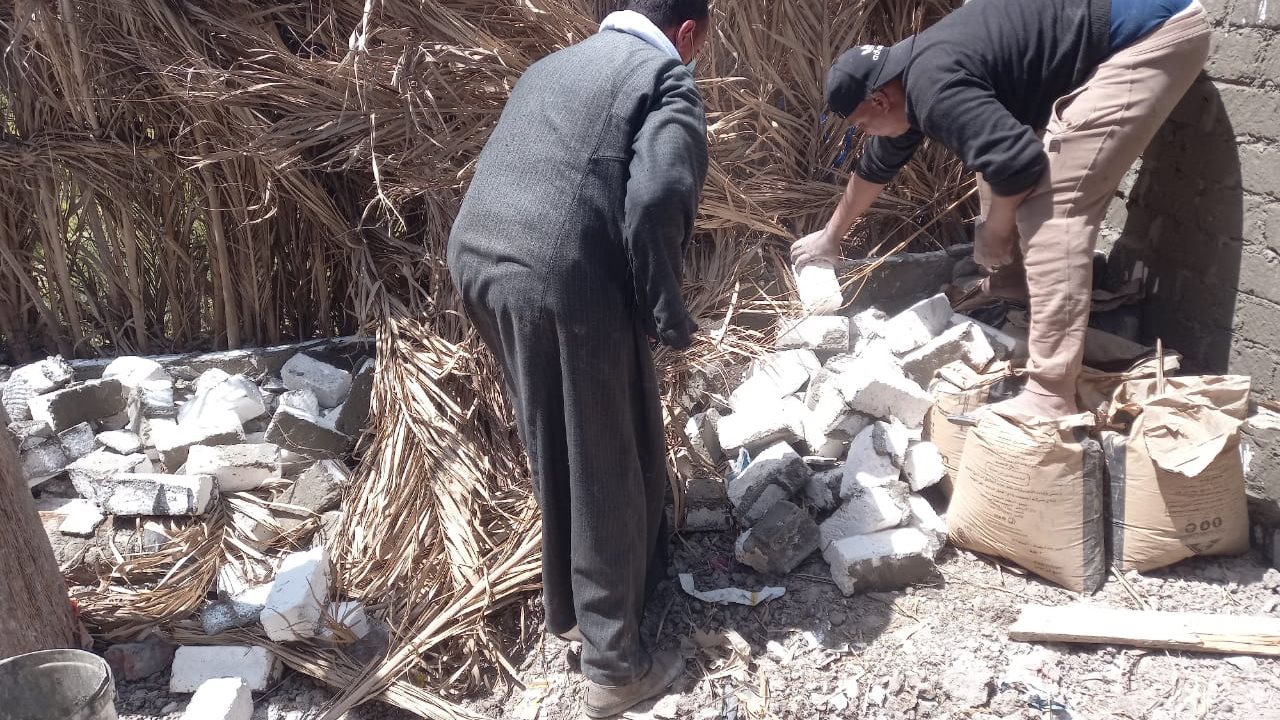 زراعة الفيوم أثناء أزالة المبانى المخالفة 