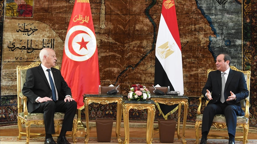 الرئيس السيسي مع نظيره التونسي بقصر الاتحادية الرئيس السيسي مع نظيره التونسي بقصر الاتحادية