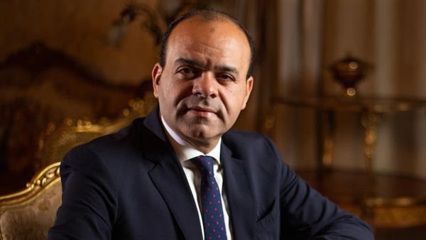 النائب عمرو القماطي