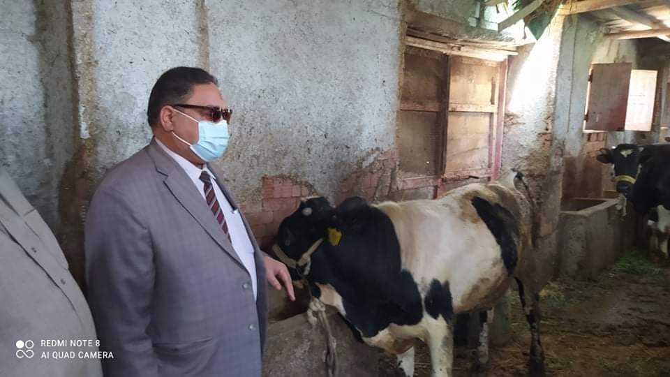 الدكنور السيد حسانين وكيل وزارة الطب البيطرى بالدقهلية