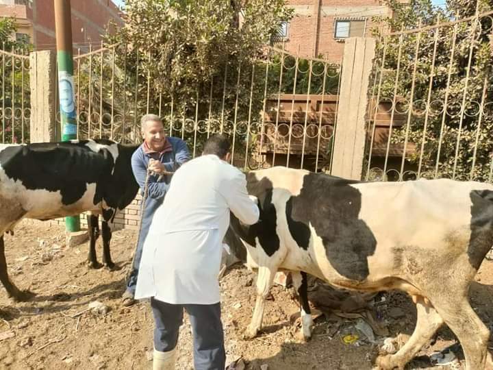 حملات تحصين
