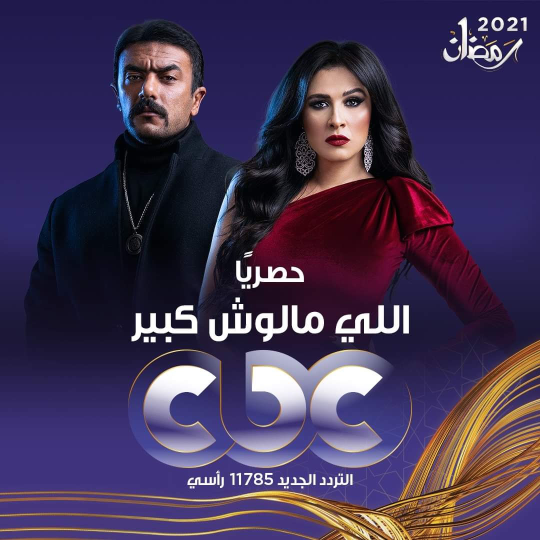 مسلسل اللي مالوش كبير