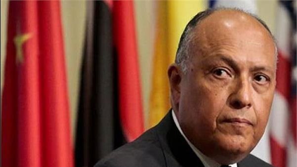 وير الخارجية سامح شكري 
