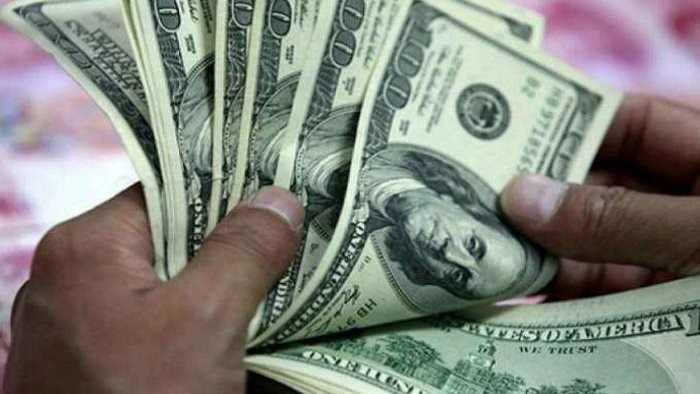 سعر الدولار