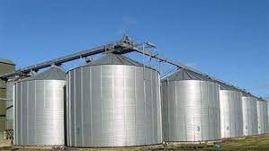 شون توريد محصول القمح