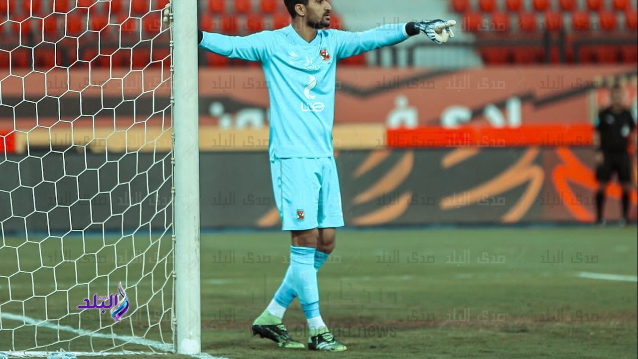 علي لطفى  علي لطفى