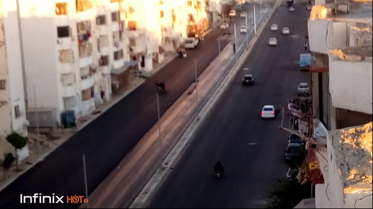 بورسعيد