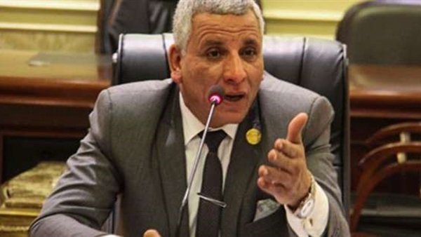 النائب عبدالفتاح يحي عضو مجلس النواب