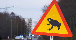 إستونيا تغلق طريقا رئيسيا بسبب الضفادع