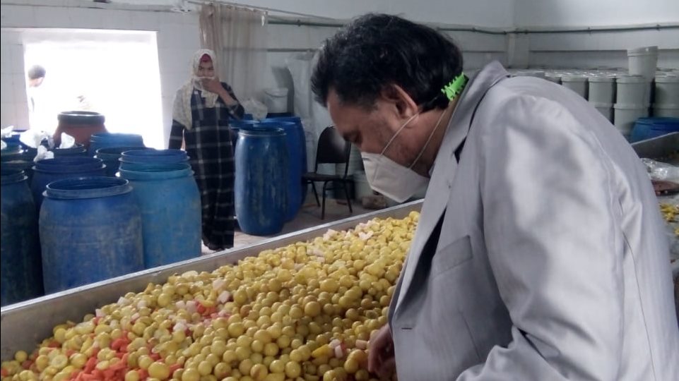 مواد غذائية