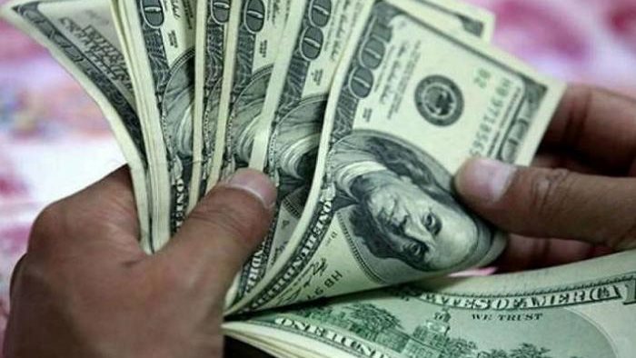 سعر الدولار 