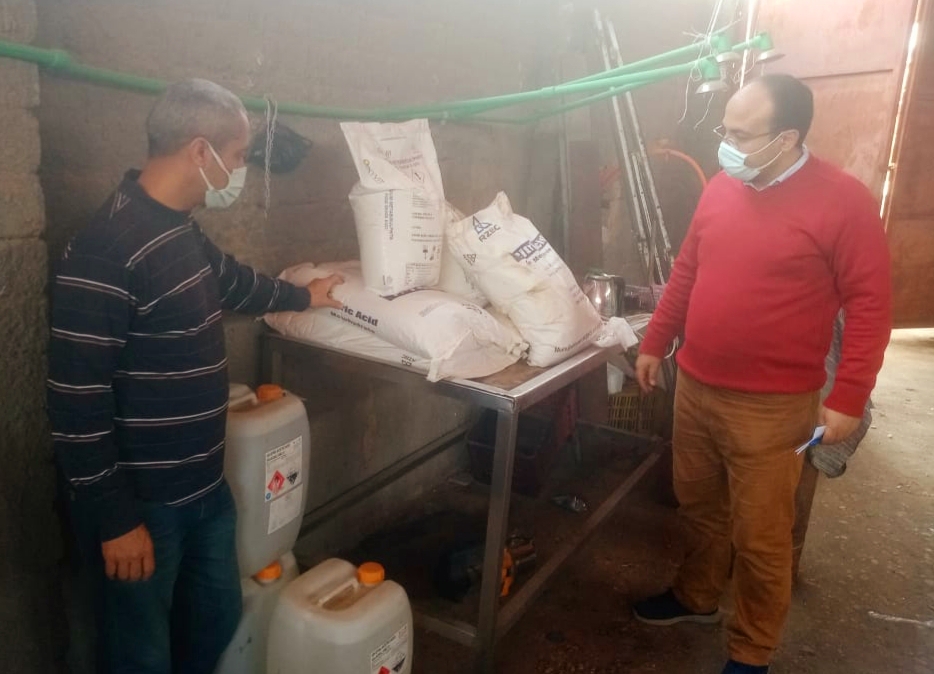 ضبط طن ونصف مخلل داخل مصنع بدون ترخيص باجا في الدقهلية