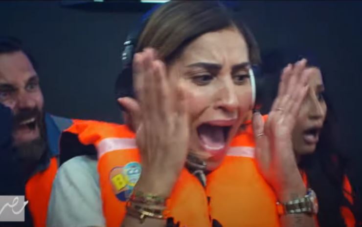 دينا الشربينى