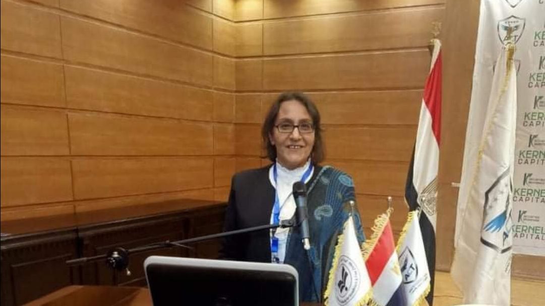 حنان رمسيس خبيرة أسواق المال 