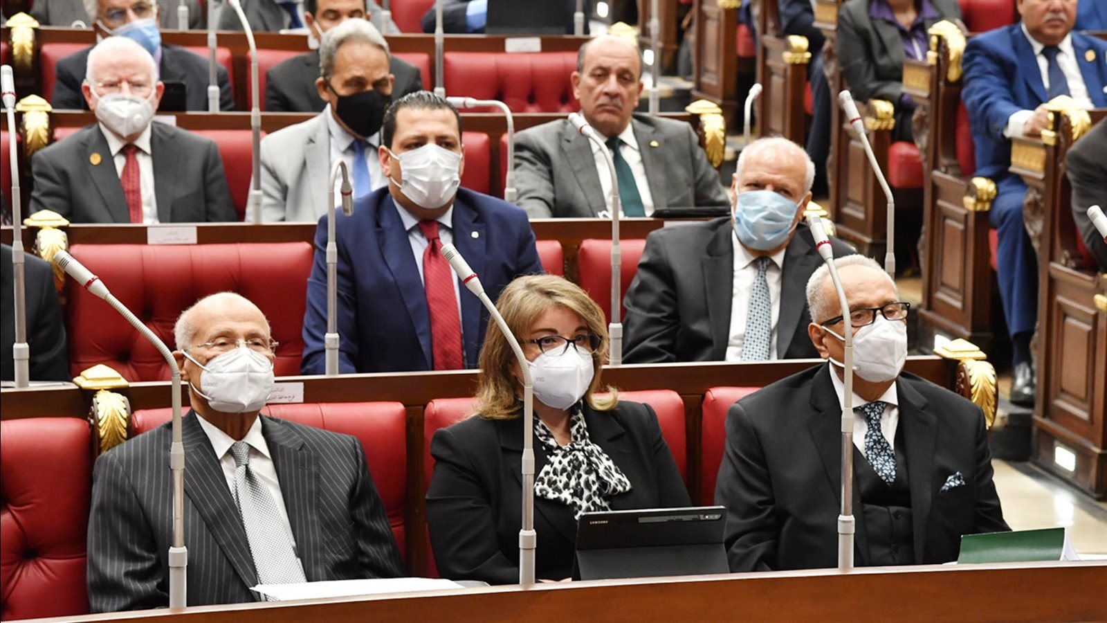 مجلس الشيوخ
