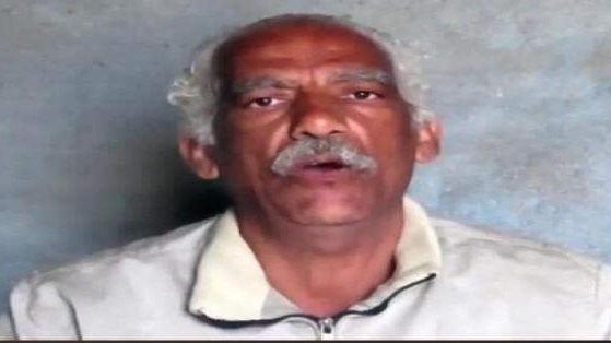 نبيل حبشي 