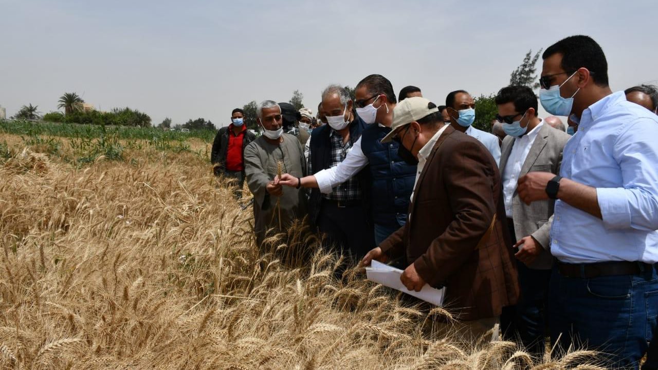 محافظ الفيوم