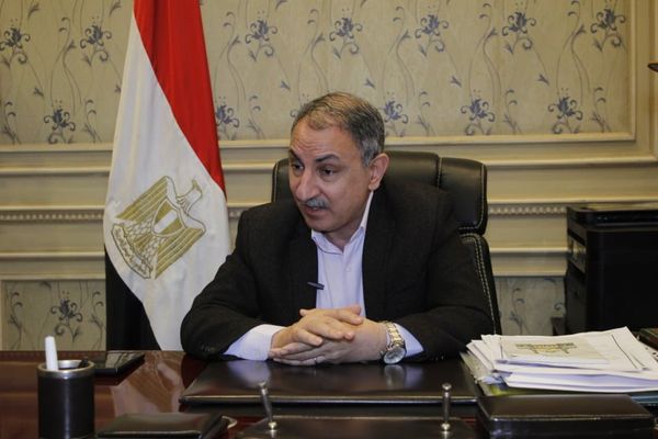 مجدي ملك ، عضو لجنة الزراعة بمجلس النواب