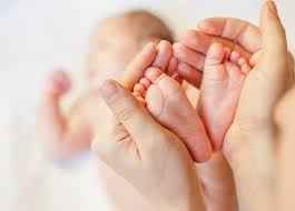 تجميد البويضات