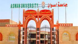 جامعة أسوان