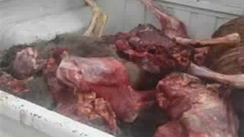 ضبط لحوم واسماك فاسدة 