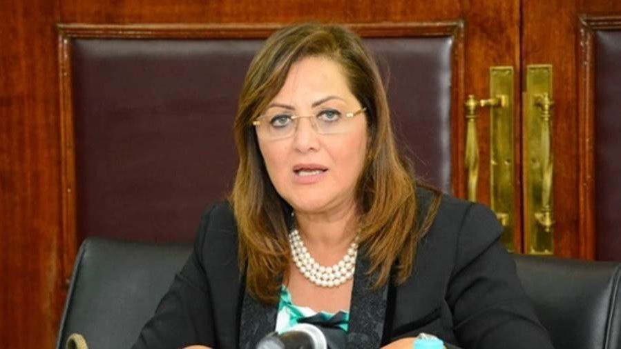وزيرة التخطيط