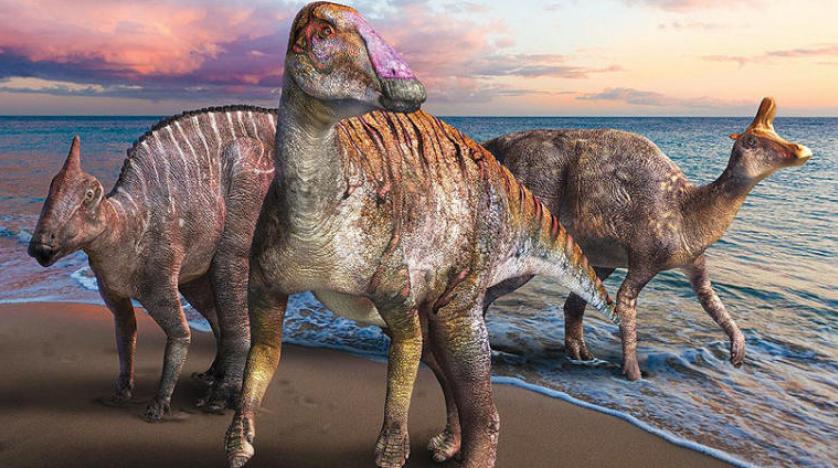 ديناصور منقار البط