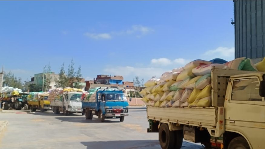 توريد القمح