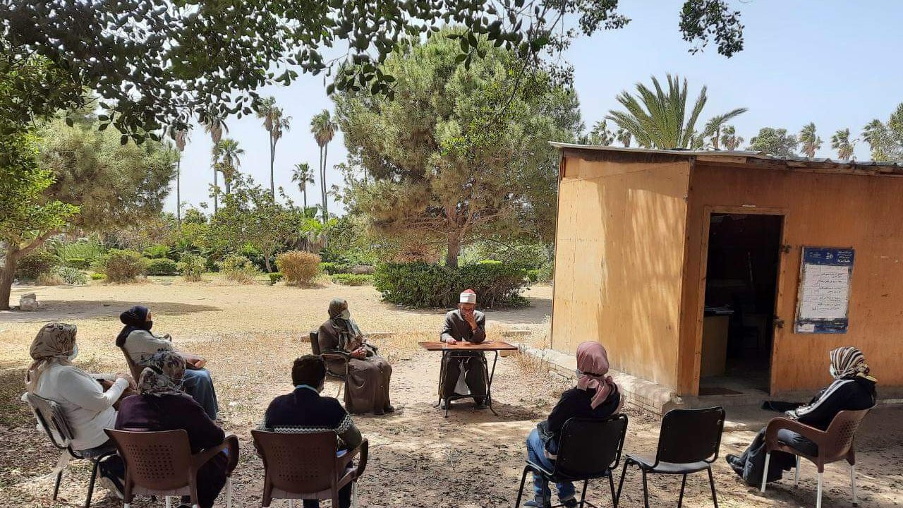 فعاليات قصور الثقافة