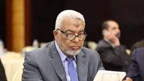 نقيب محامى جنوب القاهرة