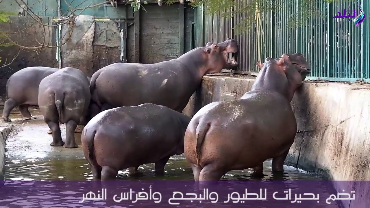 حديقة الحيوان