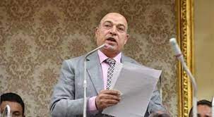 النائب حسن المير عضو مجلس النواب عن محافظة الدقهلية