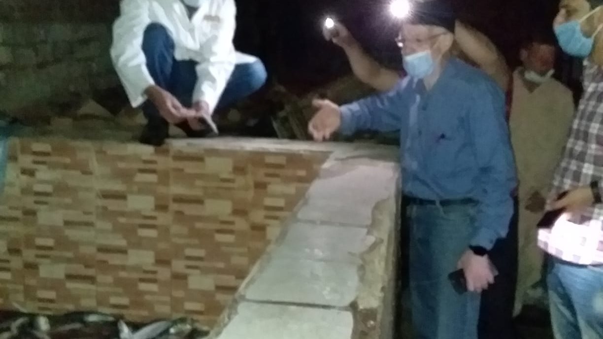 ضبط 9 أطنان أسماك مدخنة " رنجة" وأسماك هارنج فاسده بالغربية