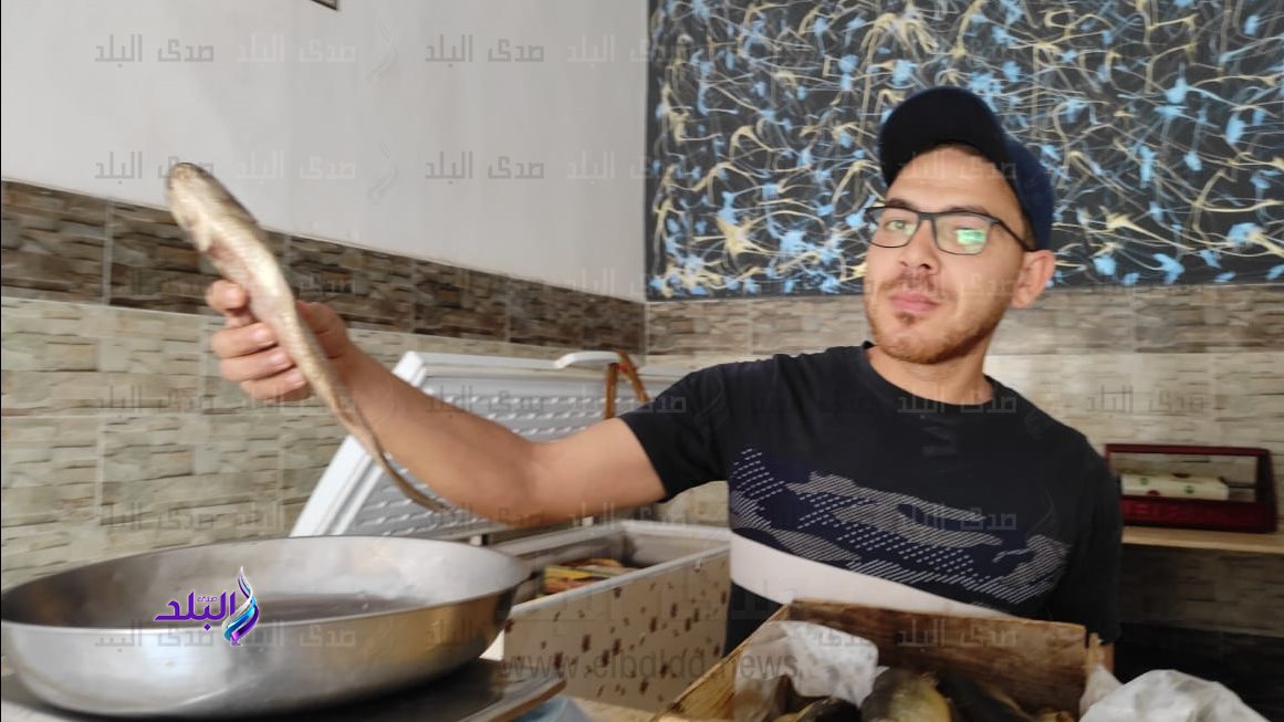 بائع فسيخ بطور سيناء 