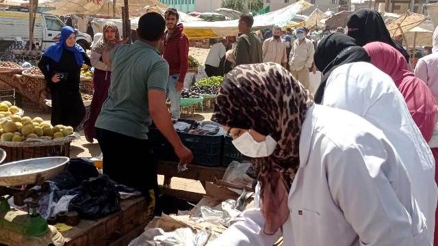 حملات تفتيشية