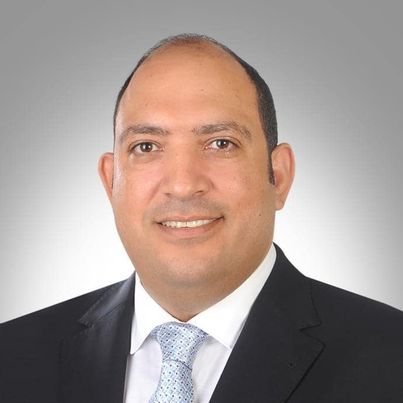 النائب محمد رشاد عثمان، عضو مجلس الشيوخ