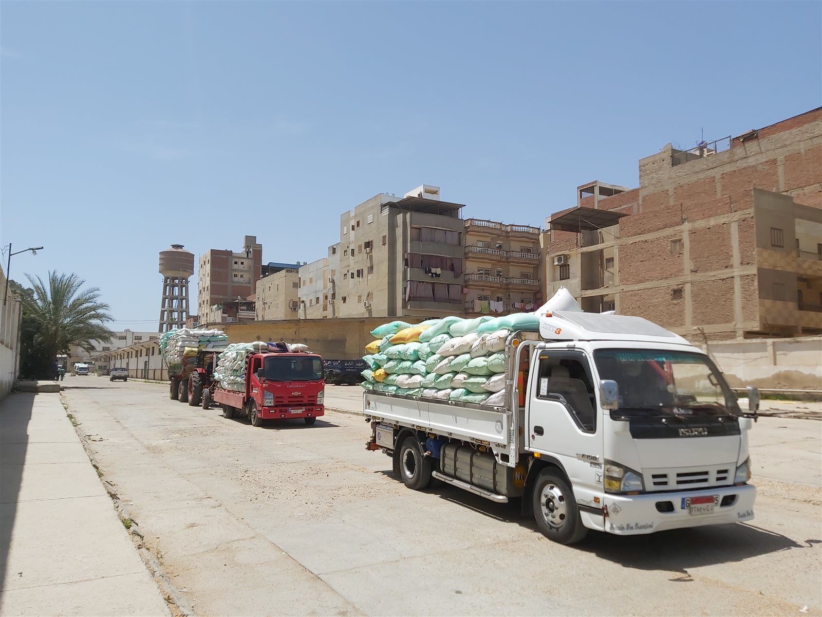 جانب من اعمال توريد القمح بالدقهلية