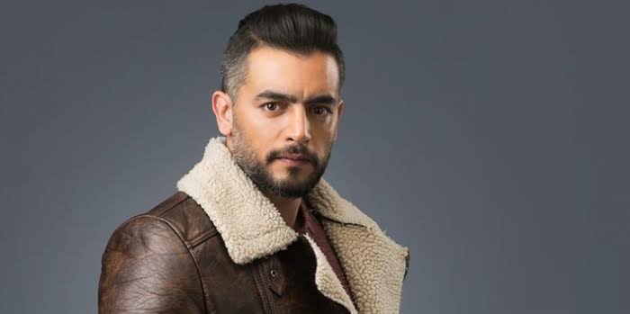 هاني سلامة 