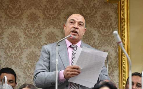 النائب حسن المير عضو مجلس النواب