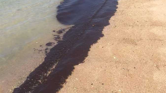 التلوث البحرى على شواطئ الغردقة