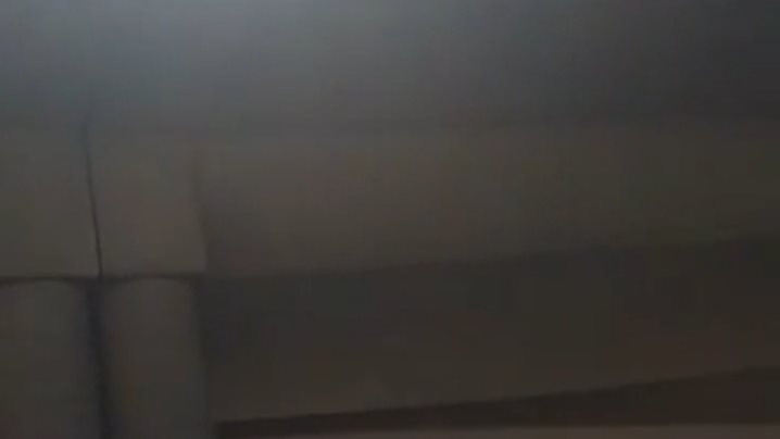 شاهد .. إنقاذ حياة قطة برية عالقة بكوبري المحلة بسبب الحرارة