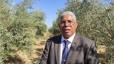  النائب سيد عوض نائب جنوب سيناء